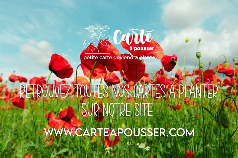 Carte à planter Merci couronne de fleurs et enveloppe kraft. Carte ensemencée Merci. Carte fleurs sauvages. image 5
