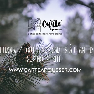 Carte à planter Joyeux Noël Sapin Aquarelle. Carte de voeux fleurie. image 3