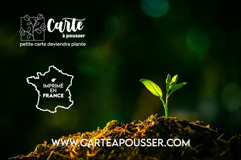 Carte à planter Haut comme 3 pommes. Carte annonce grossesse. Carte ensemencée Naissance. Carte à planter Bébé. image 2