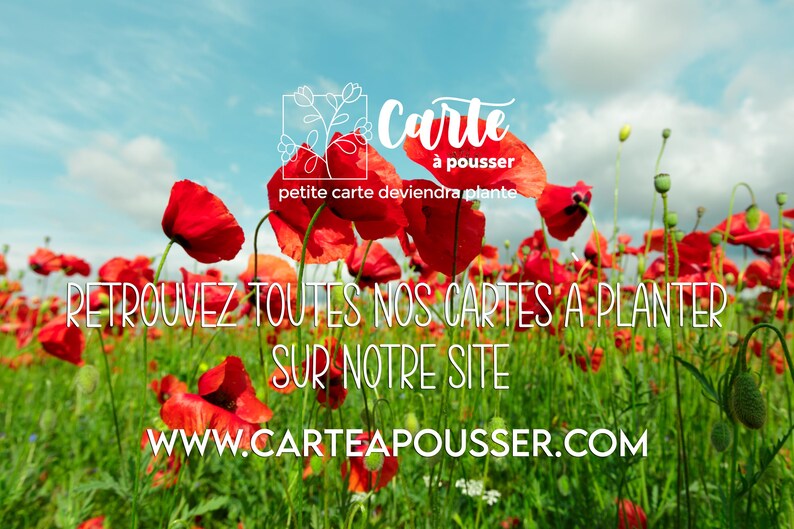Carte à planter Haut comme 3 pommes. Carte annonce grossesse. Carte ensemencée Naissance. Carte à planter Bébé. image 3