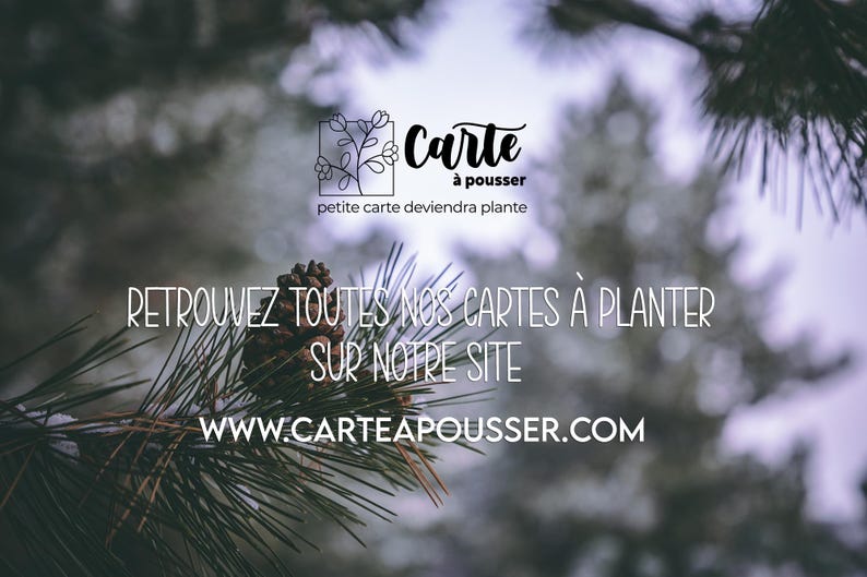Cartão para plantar Boas Festas Boneco de Neve. Cartão floral. imagem 3