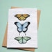 see more listings in the Nature section