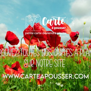 Carte à planter mots d'amour. Carte ensemencée Saint Valentin. Carte à planter Amour. image 3