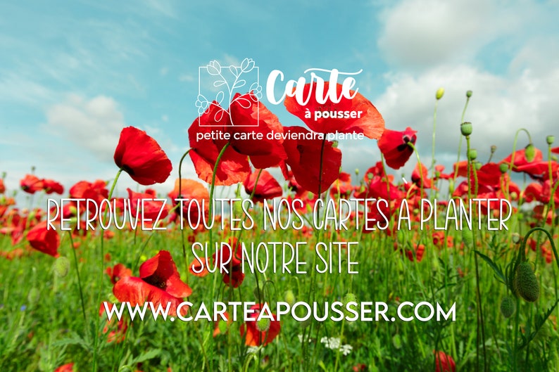 Carte à planter mots d'amour. Carte ensemencée Saint Valentin. Carte à planter Amour. image 3