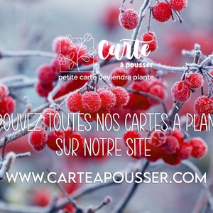 Carte à planter Joyeux Noël Sapin et Cadeaux. Carte de voeux fleurie. image 2