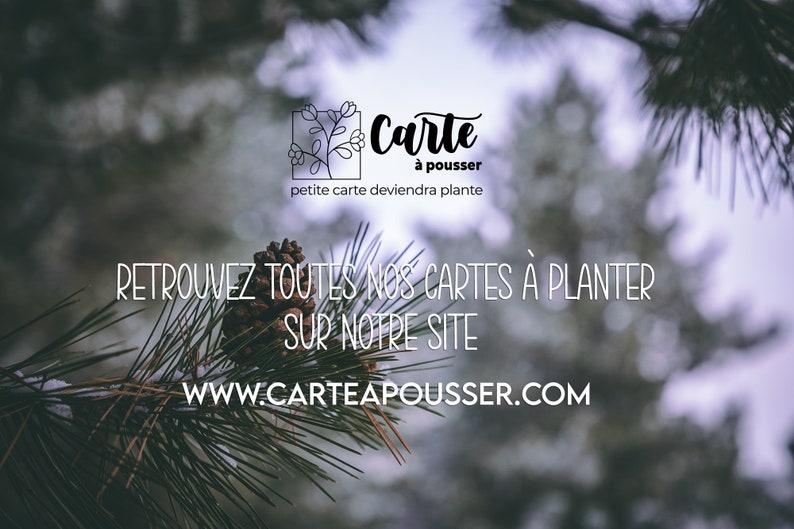 Cartão plantável de aniversário de balão de ar quente. Cartão de aniversário semeado. Mapa da planta impresso na França. imagem 3
