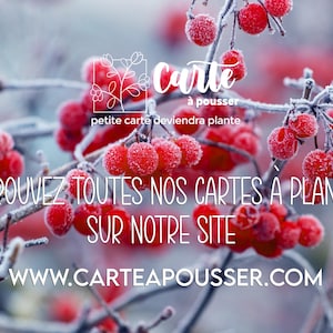Carte à planter Merci école personnalisée. Carte ensemencée Merci maitresse.Carte Merci Maitre image 2