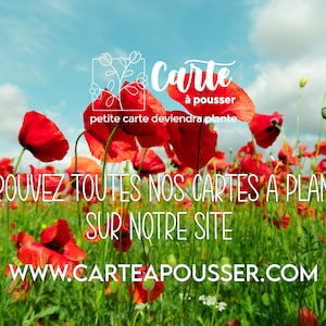 Carte à planter Anniversaire Fleurs et abeille. Carte anniversaire fleurie. Carte ensemencée anniversaire image 3