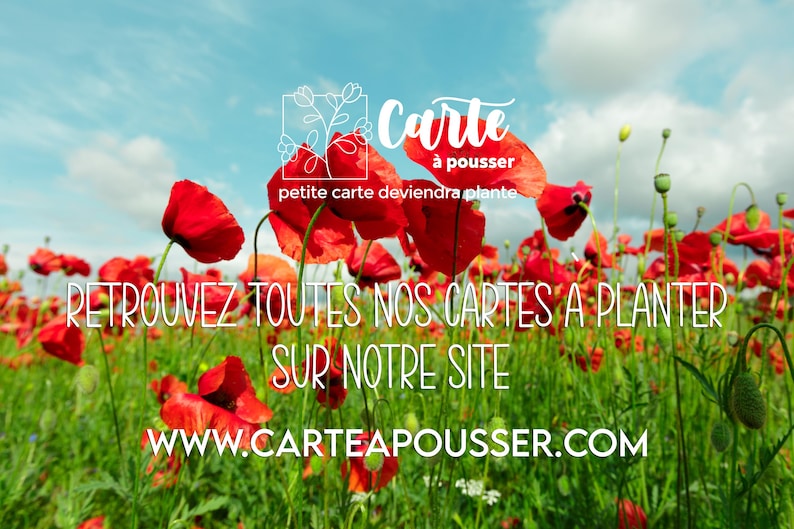 Carte à planter Anniversaire Fleurs et abeille. Carte anniversaire fleurie. Carte ensemencée anniversaire image 3