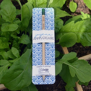 Crayon à planter Joyeux anniversaire Bleu avec carte ensemencée. Crayon ensemencé anniversaire. Crayon à planter anniversaire.