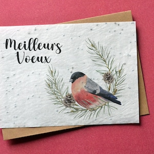 Carte à planter Noël Meilleurs Voeux Rouge gorge. Carte de voeux à planter.