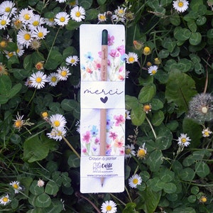 Blumen-Dankeschön-Bleistift zum Einpflanzen mit Samenkarte. Samenstift. Danke. Pflanzbarer Bleistift. Danke, Lehrer. Pflanzbarer Sprout-Bleistift.