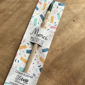 Pflanzbarer Bleistift „Danke, Lehrer“, mit Konfetti-Samenkarte. Samenstift. Danke. Pflanzbarer Bleistift. Danke, Lehrer.
