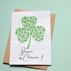 Carte à planter Trèfle Porte-Bonheur. Carte ensemencée Saint Patrick. Carte anniversaire à planter. Trèfle Porte-bonheur