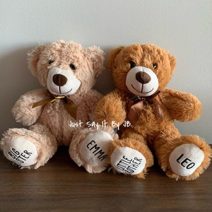 May include: Two plush teddy bears, one brown and one beige, with embroidered text on their paws. The brown bear has "Little Brother" and "Leo" on its paws, while the beige bear has "Big Sister" and "Emma" on its paws.