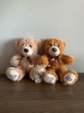 Big Sister Teddy Bear, Big Brother Bear, Personalized Sister Plush Bears, Personalized Brother bear, Sister Birth Announcement, Brother Gift