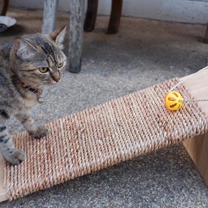 Etsy cat scratcher hotsell
