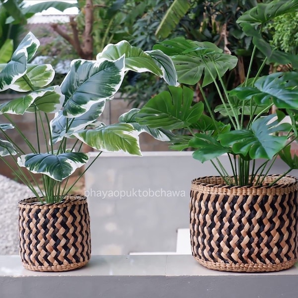 Seagrass Organizer Etsy