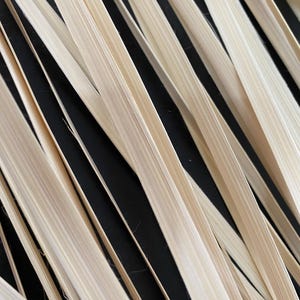 May include: Close-up of a group of thin, light brown bamboo sticks arranged in a diagonal pattern against a black background.