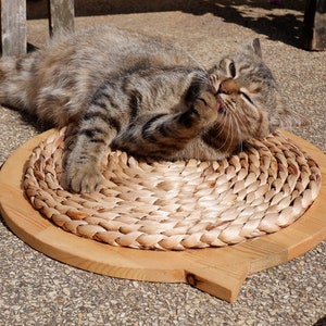 May include: A tabby cat grooming itself on a round, woven, straw mat with a wooden frame. The mat is on a light gray, pebbled surface.