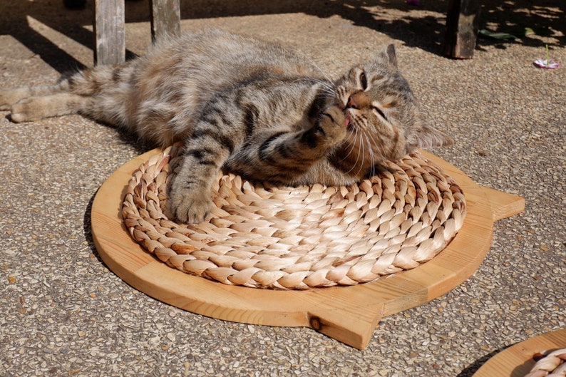 horizontal scratching pad