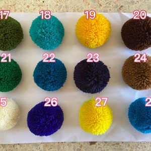 May include: Assortment of 12 pom poms in various colors, including green, blue, yellow, brown, white, and purple. The pom poms are numbered 17 through 28.