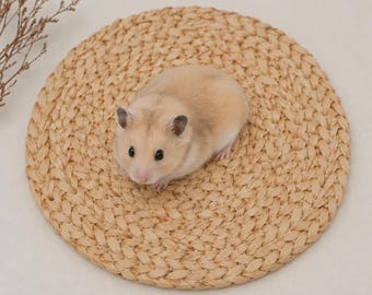 Water Hyacinth Cat Scratcher, Small Pet Bed, Natural Cat Scratch Pad, Rabbit Bed, Guinea Pig Bed, Handmade Pet Furniture