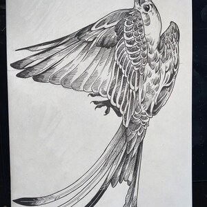 ORIGINAL bird pen drawing