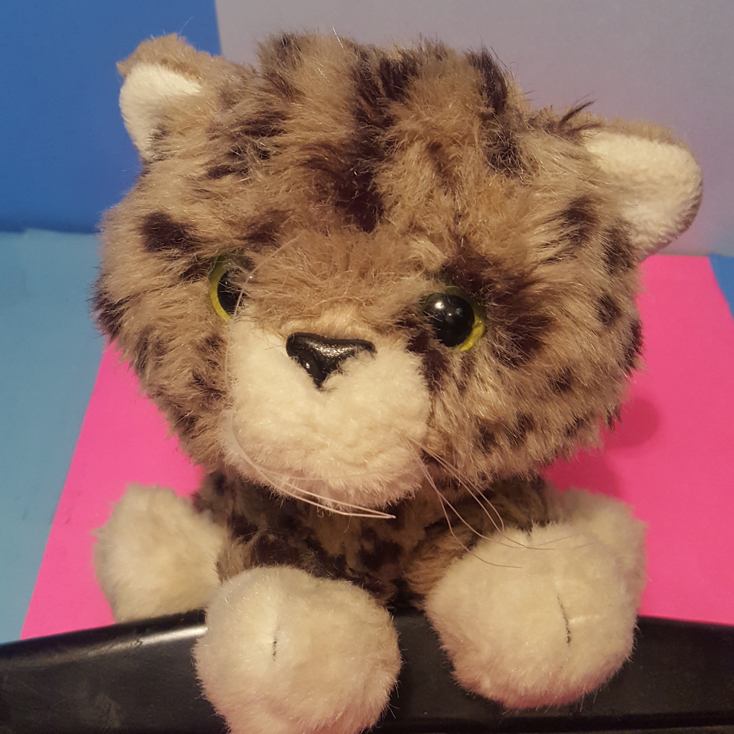 tyco kitty kitty jungle kittens