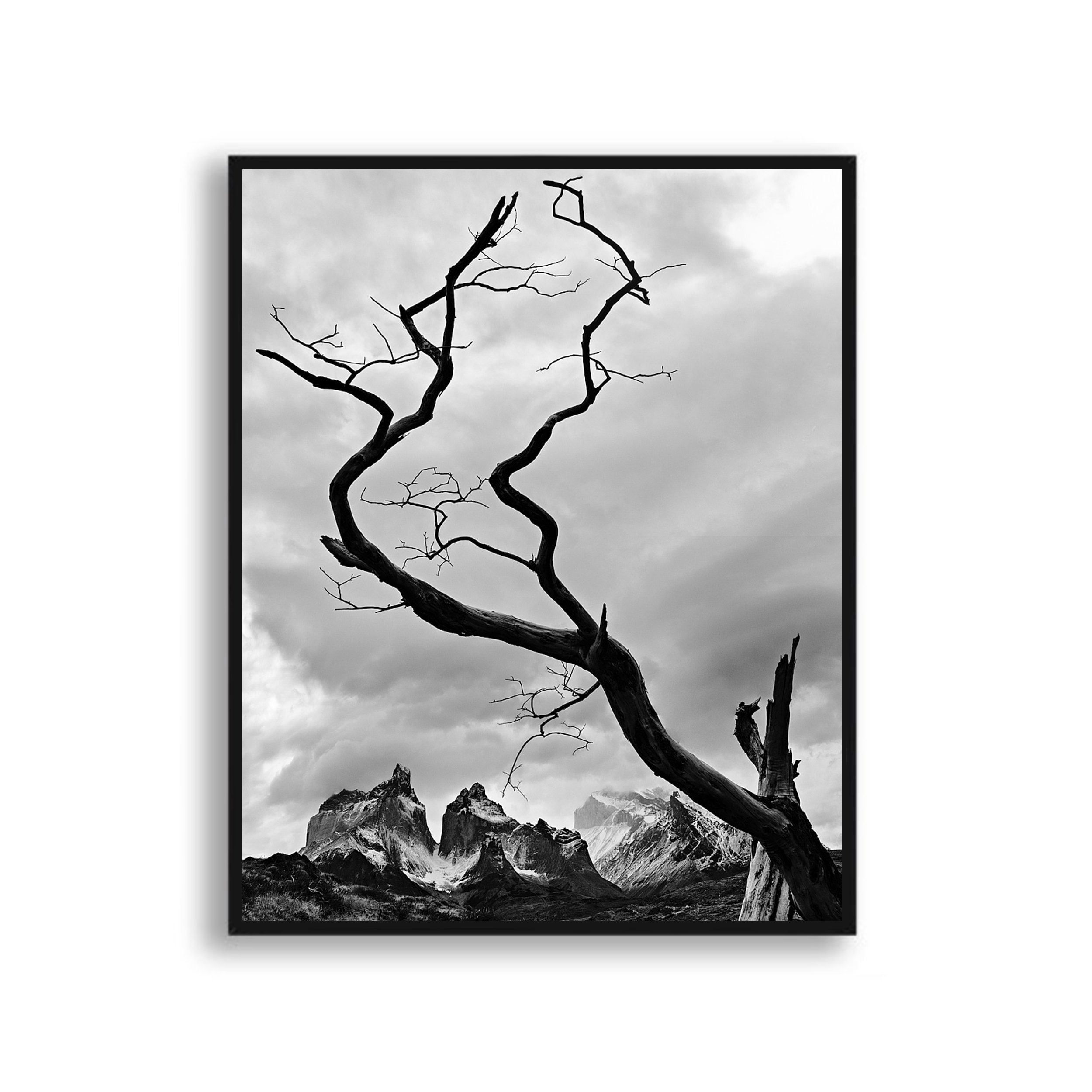 Wall Art Print, Black and White Wall Decor, Black and White Print