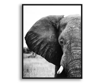 Wall Art Print, Black and White Wall Art, Black and White Print, Framed Wall Art, Photography Print, Black and White Photography, Elephant