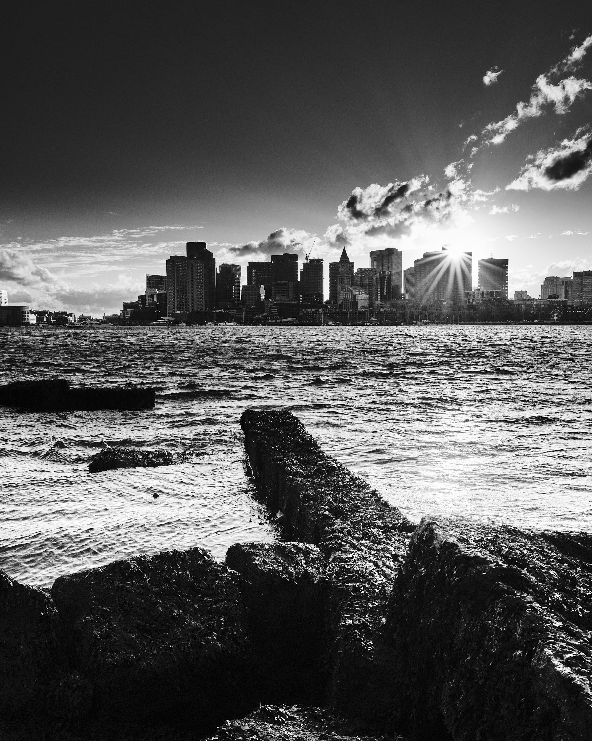 Wall Art Prints, Black and White Wall Decor, Black and White Print