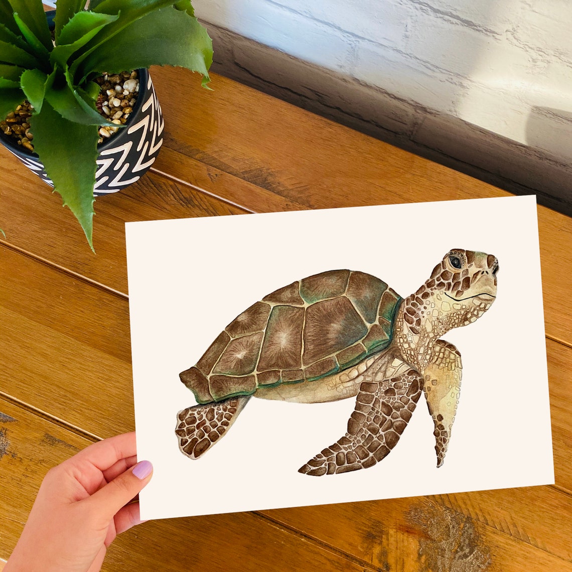 Sea Turtle Print Turtle Prints Nursery Print Turtle | Etsy