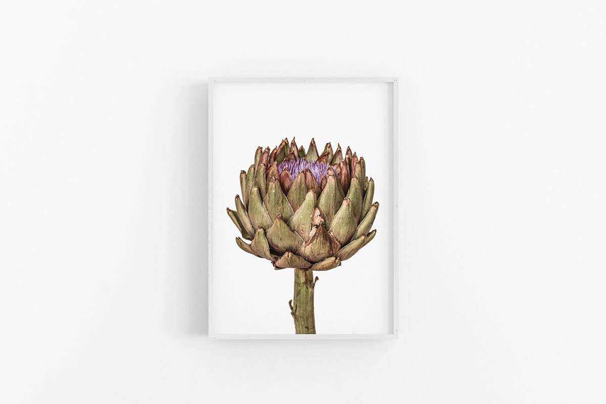 Artichoke IV Artichoke Print, Artichoke Wall Art, Artichoke Poster