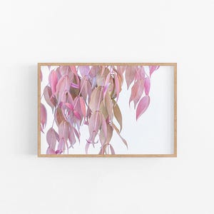 Pink Leaves I | Feminine Leaf Wall Art Print, Australian Native Wall Art, Lilly Pilly Leaf Print, Native Australian Print, Leaf Photo Print