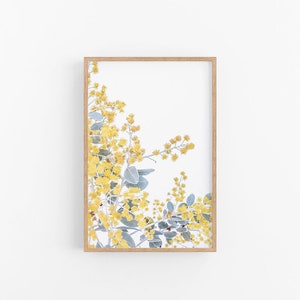 Wattle III | Australian Flower Wall Print, Native Australian Wattle Wall Print, Australian Native Wattle Print, Native Wattle Flower Print