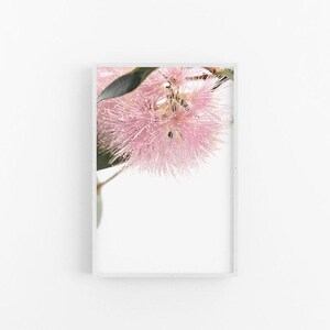 Lilly Pilly III | Australian Native Flower Wall Art, Lilly Pilly Print, Native Australian Flower Print, Lilly Pilly Photographic Print