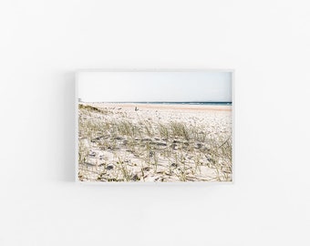 Beach Grass | Beach Print, Coastal Wall Art, Beach Wall Print, Coastal Print, Beach Art Print, Modern Beach Print, Beach Photography Print