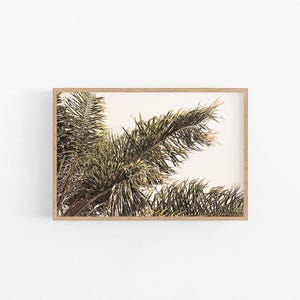 Golden Palm | Coastal Boho Palm, Palm Print, Golden Palm Print, Neutral Print, Beige Palm Print, Palm Poster, Boho Palm Print