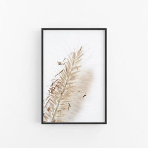 Fountain Grass III | Neutral Grass Photographic Art Print, Grass Print, Grass Wall Art, Neutral Grass Print, Beige Grass Print, Grass Poster