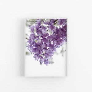 Jacaranda III | Purple Jacaranda Flower Wall Print, Jacaranda Print, Jacaranda Wall Art, Jacaranda Flower Print, Jacaranda Flower Poster