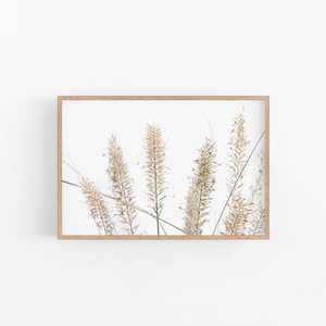 Fountain Grass I | Neutral Grass Photographic Art Print, Grass Print, Grass Wall Art, Neutral Grass Print, Beige Grass Print, Grass Poster