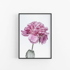 Purple Peony | Purple Peony Flower Photography Print, Flower Print, Peony Print, Purple Peony Wall Art, Floral Wall Print, Peony Poster