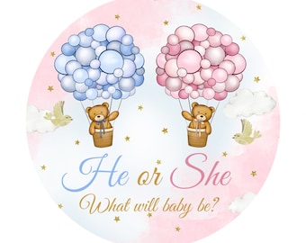 Fondo para revelar el género de un oso: decoración para baby shower de niño o niña