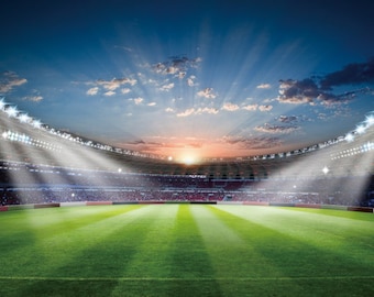 Football Field Photograph Backdrop: World Cup Party Decor