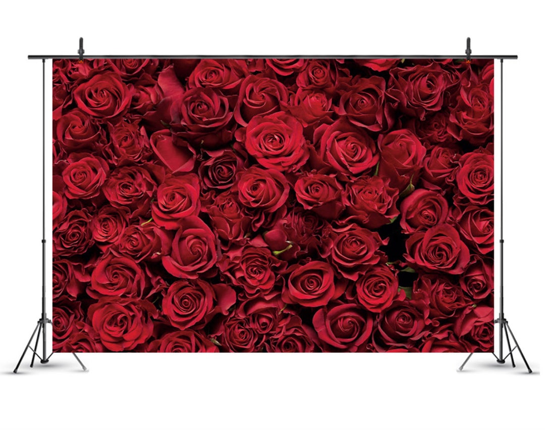 Wedding Backdrop Wedding Red Rose Wall Rose Photograph Etsy