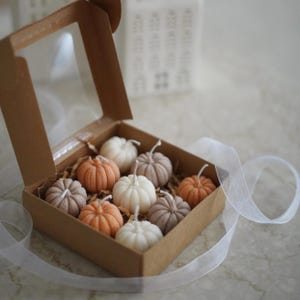 May include: A brown cardboard box with a clear window lid containing nine small pumpkin-shaped candles in shades of white, orange, and taupe. The candles are nestled in shredded paper filler, and a sheer white ribbon is draped around the box.