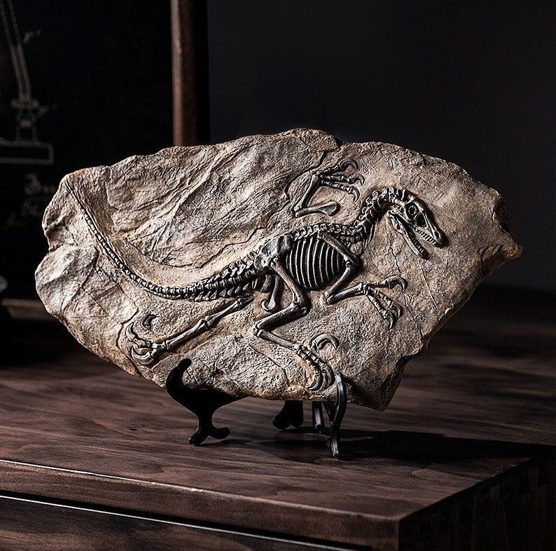 Dinosaur Skeleton Fossil Ornament - Etsy