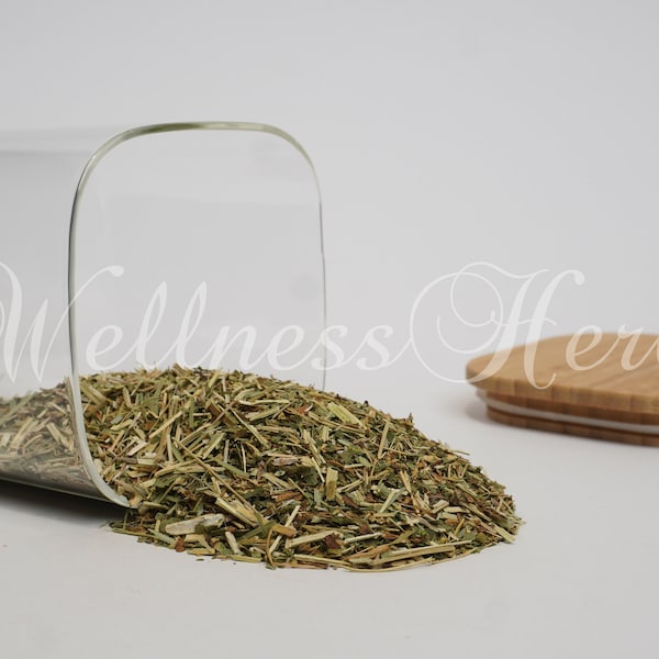 Meadowsweet Herb | Organic | Herb | Tea | Filipendula Ulmaria Flos | Natural | Herbalist | Dried Herbs