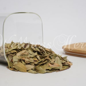 Premium Quality Myrtle Leaf | Myrtle Leaves | Myrtus Communis